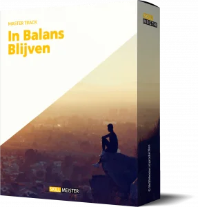 IBB box (Medium)