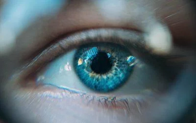 Human skills als troef in het AI tijdperk